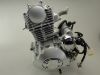 PictureAltAttribute - 591C-motorblok-mash-fifty-50cc-staande-cilinder-02042025140631-jpg